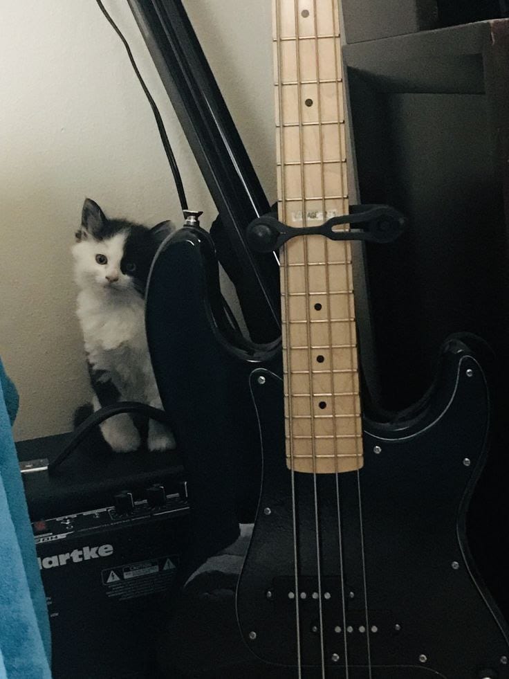 No Name
