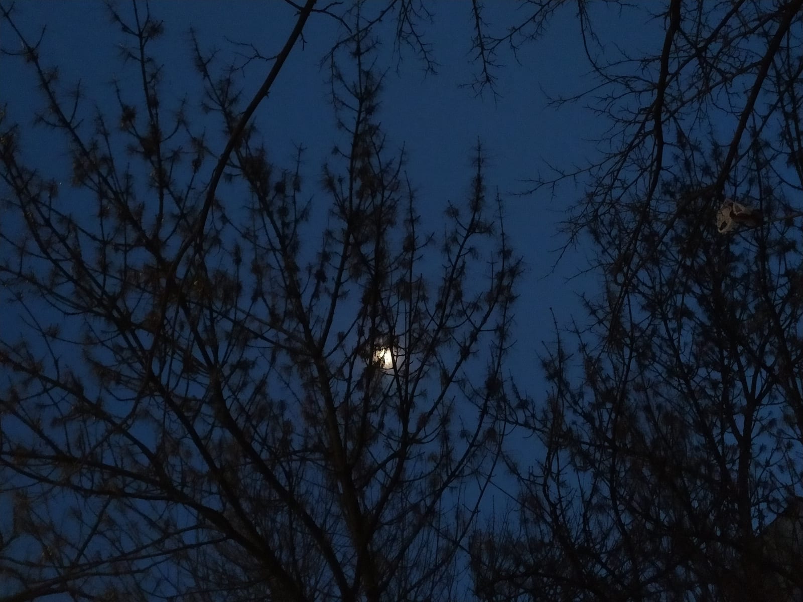 Валеря
